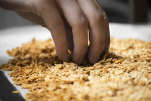 granola avoine, céréales petit déjeuner